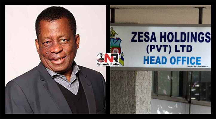 gata zesa